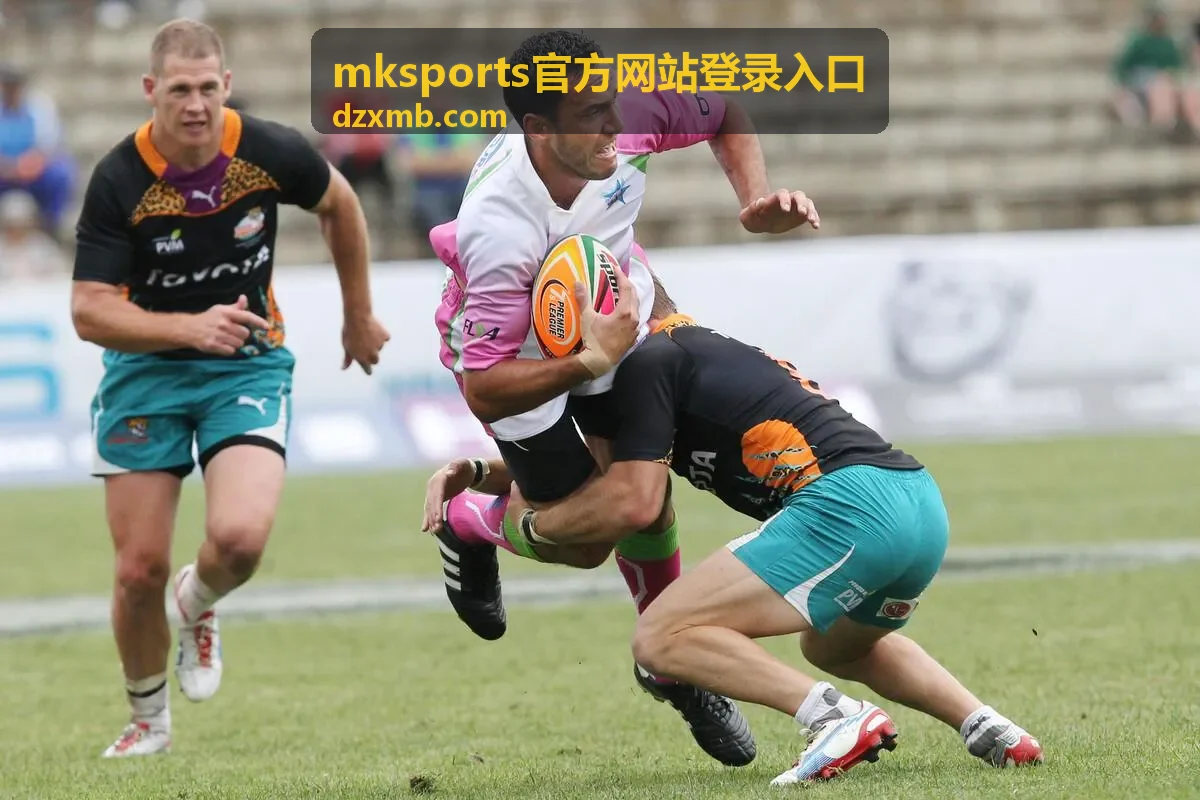 mksports官方网站登录入口最新访问说明配图