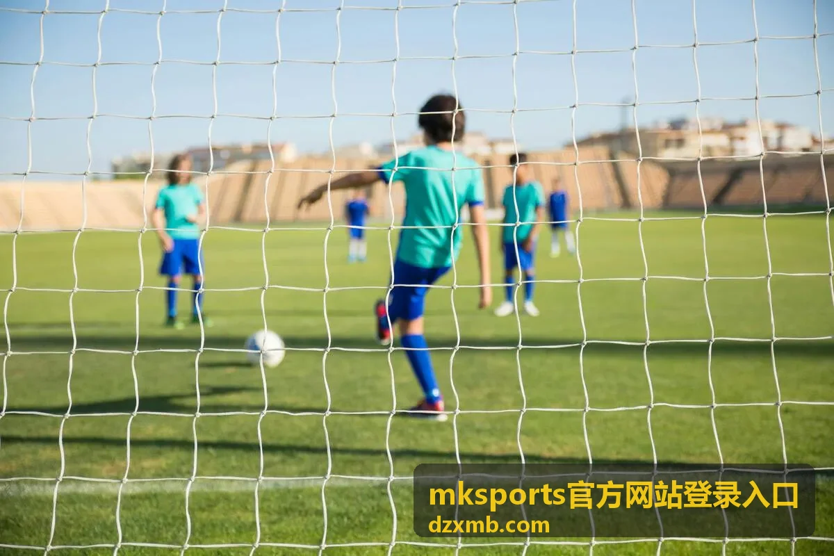 mksports官方网站登录入口 常见问题与安全提示配图