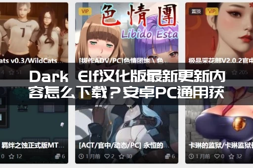 Dark Elf汉化版最新更新内容怎么下载？安卓PC通用获取教程！