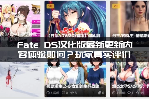 Fate DS汉化版最新更新内容体验如何？玩家真实评价告诉你！