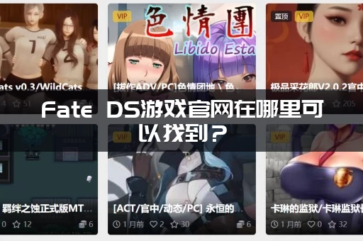 Fate DS游戏官网在哪里可以找到？ (官方入口链接点这里！)