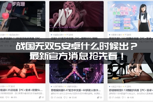 战国无双5安卓什么时候出？最新官方消息抢先看！