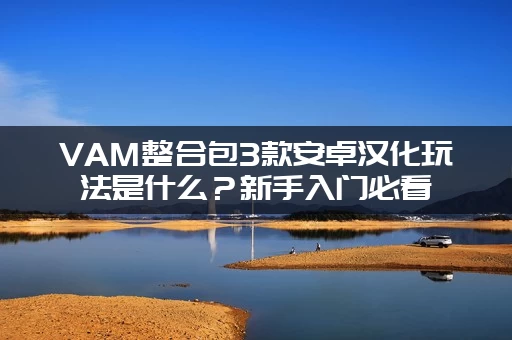 VAM整合包3款安卓汉化玩法是什么？新手入门必看