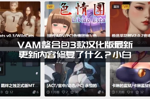 VAM整合包3款汉化版最新更新内容修复了什么？小白也能看懂！