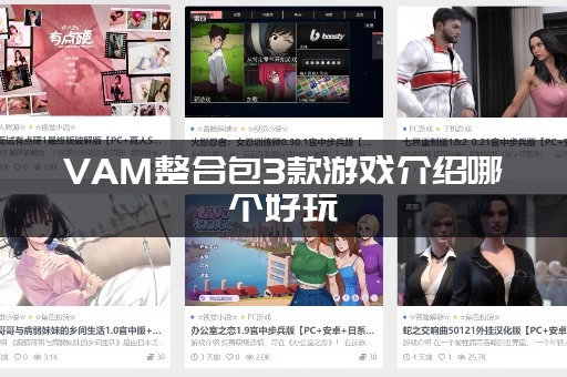 VAM整合包3款游戏介绍哪个好玩(玩家真实体验心得分享)
