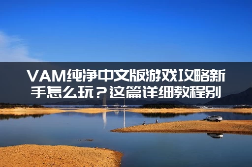 VAM纯净中文版游戏攻略新手怎么玩？这篇详细教程别错过！