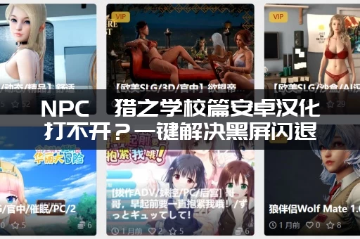 NPC狩猎之学校篇安卓汉化打不开？一键解决黑屏闪退问题！