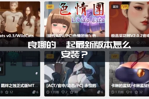 佐良娜的崛起最新版本怎么安装？(手把手教你快速上手教程！)