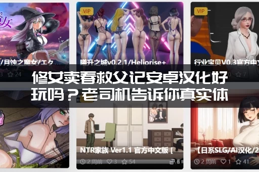 修女卖春救父记安卓汉化好玩吗？老司机告诉你真实体验！