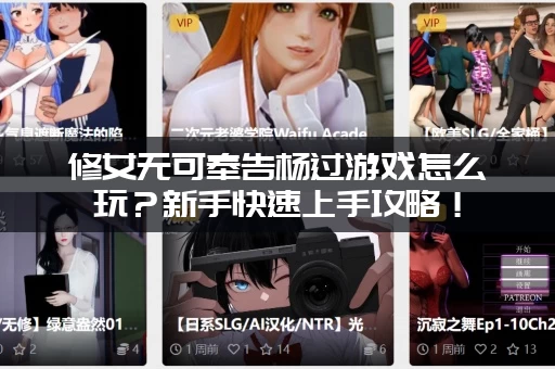 修女无可奉告杨过游戏怎么玩？新手快速上手攻略！