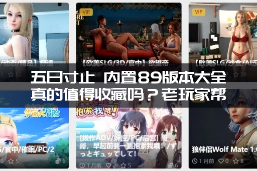 五日寸止 内置89版本大全真的值得收藏吗？老玩家帮你深度测评！