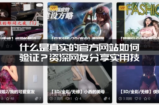 什么是真实的官方网站如何验证?资深网友分享实用技巧! 什么是真实的官方网站如何验证?资深网友分享实用技巧!