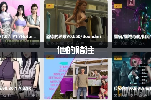 他的赌注，她的损失下载安卓免费的有没有？老玩家教你白嫖！