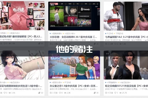 他的赌注，她的损失如何下载？教你用最快速度找到资源！