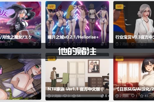 他的赌注，她的损失更新日志有什么变化？重点内容快速了解不迷路！