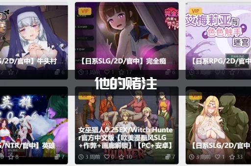 他的赌注，她的损失最新版本(为什么大家都说好看)