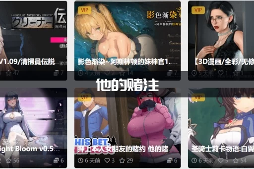 他的赌注，她的损失杨过游戏新手怎么玩？快速入门的秘诀公开！