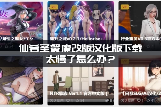 仙肴圣餐魔改版汉化版下载太慢了怎么办？(网盘加速小技巧)