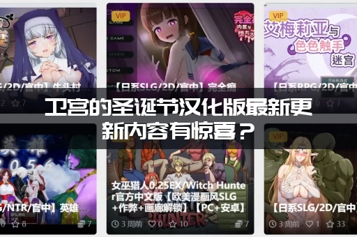 卫宫的圣诞节汉化版最新更新内容有惊喜？（玩家评价超高）