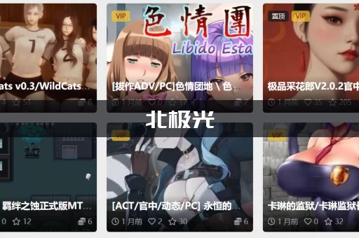 北极光：开始绅士游戏好玩吗？玩家真实评价大揭秘！