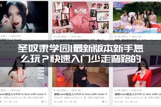 圣奴隶学园1最新版本新手怎么玩？快速入门少走弯路的秘籍！