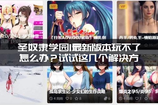 圣奴隶学园1最新版本玩不了怎么办？试试这几个解决方法！