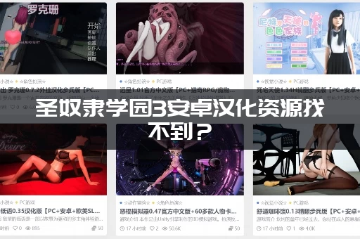 圣奴隶学园3安卓汉化资源找不到？(老司机帮你解决问题)
