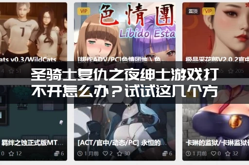 圣骑士复仇之夜绅士游戏打不开怎么办？试试这几个方法！