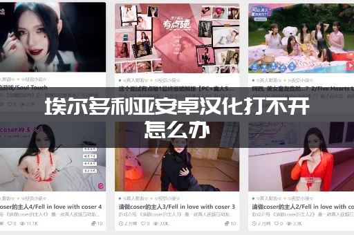 埃尔多利亚安卓汉化打不开怎么办(常见问题和解决办法看这一篇)