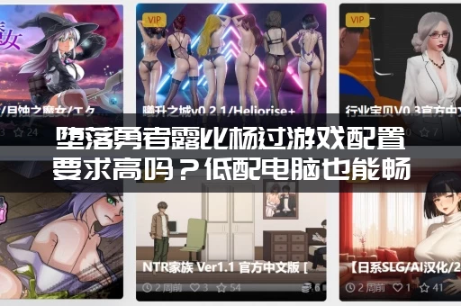 堕落勇者露比杨过游戏配置要求高吗？低配电脑也能畅玩！