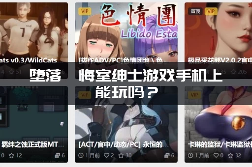 堕落忏悔室绅士游戏手机上能玩吗？(安卓IOS下载教程)