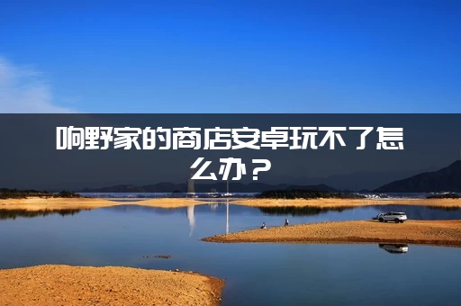 响野家的商店安卓玩不了怎么办？(最新兼容性解决方法)