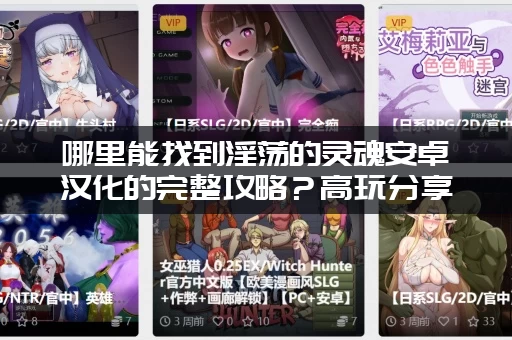 哪里能找到淫荡的灵魂安卓汉化的完整攻略？高玩分享！