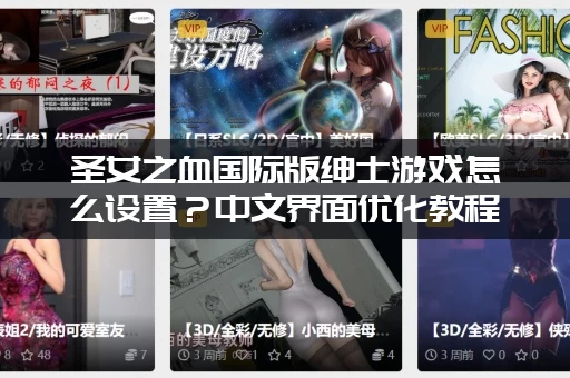 圣女之血国际版绅士游戏怎么设置？中文界面优化教程！