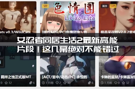 女忍者同居生活2最新高能片段！这几幕绝对不能错过！