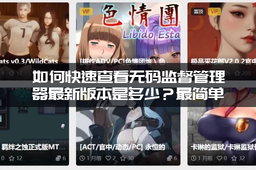 如何快速查看无码监督管理器最新版本是多少？最简单的查询方法分享给你