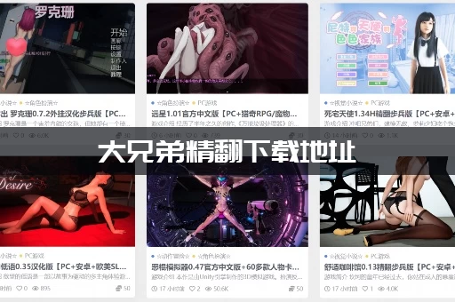 大兄弟精翻下载地址