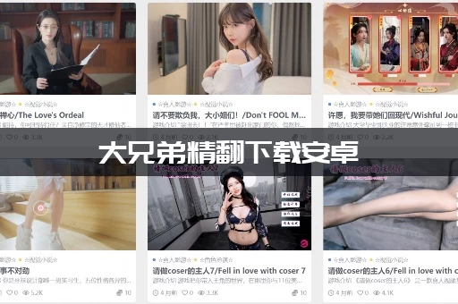 大兄弟精翻下载安卓