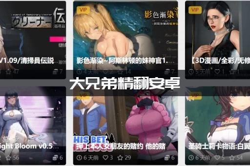 大兄弟精翻安卓