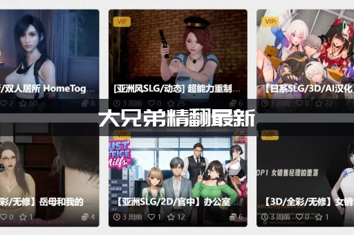 大兄弟精翻最新