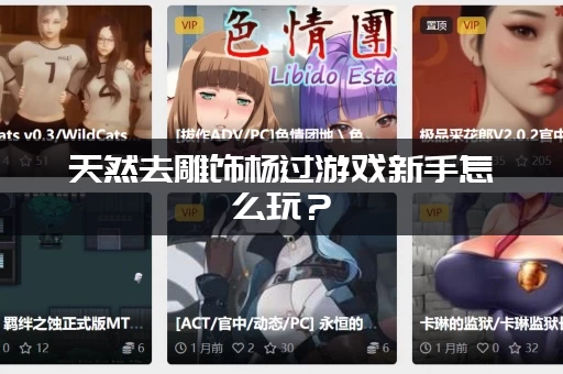 天然去雕饰杨过游戏新手怎么玩？(资深玩家分享快速入门技巧！)