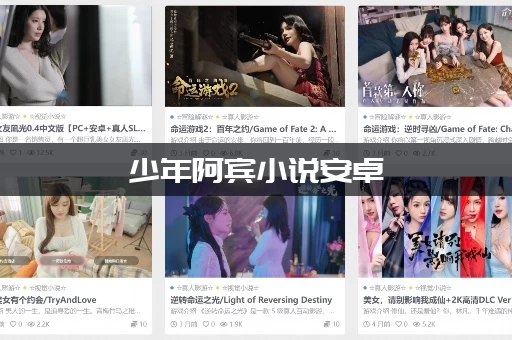 少年阿宾小说安卓