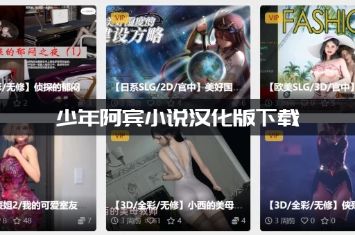 少年阿宾小说汉化版下载