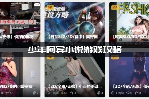 少年阿宾小说游戏攻略
