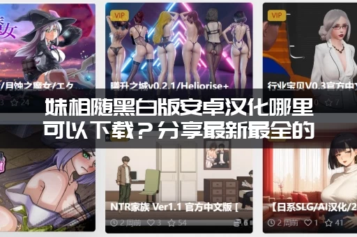 妹相随黑白版安卓汉化哪里可以下载？分享最新最全的资源包！