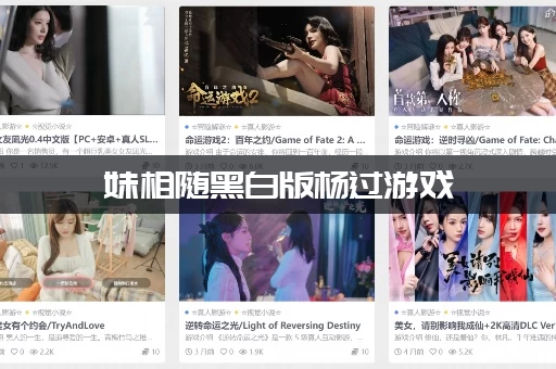 妹相随黑白版杨过游戏