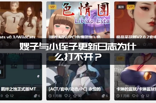 嫂子与小侄子更新日志为什么打不开？(这几个方法快速解决)