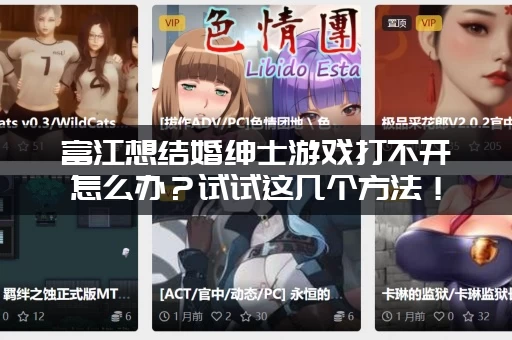 富江想结婚绅士游戏打不开怎么办？试试这几个方法！