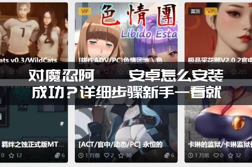 对魔忍阿莎姬安卓怎么安装成功?详细步骤新手一看就会! 对魔忍阿莎姬安卓怎么安装成功?详细步骤新手一看就会!