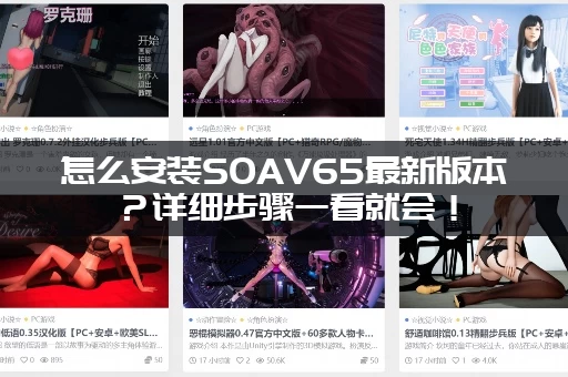 怎么安装SOAV65最新版本?详细步骤一看就会! 怎么安装SOAV65最新版本?详细步骤一看就会!